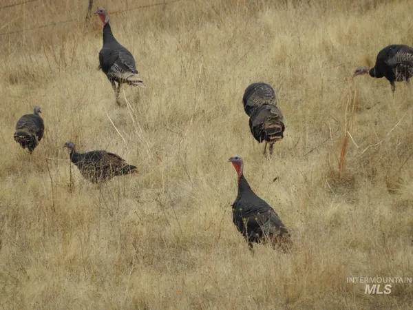 $3,995,000 | 105 Scotlyn Rnch Road, Kamiah, ID 83536