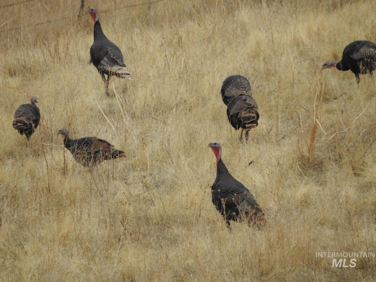105 Scotlyn Rnch Road Kamiah, ID 83536 - Photo 18 of 27