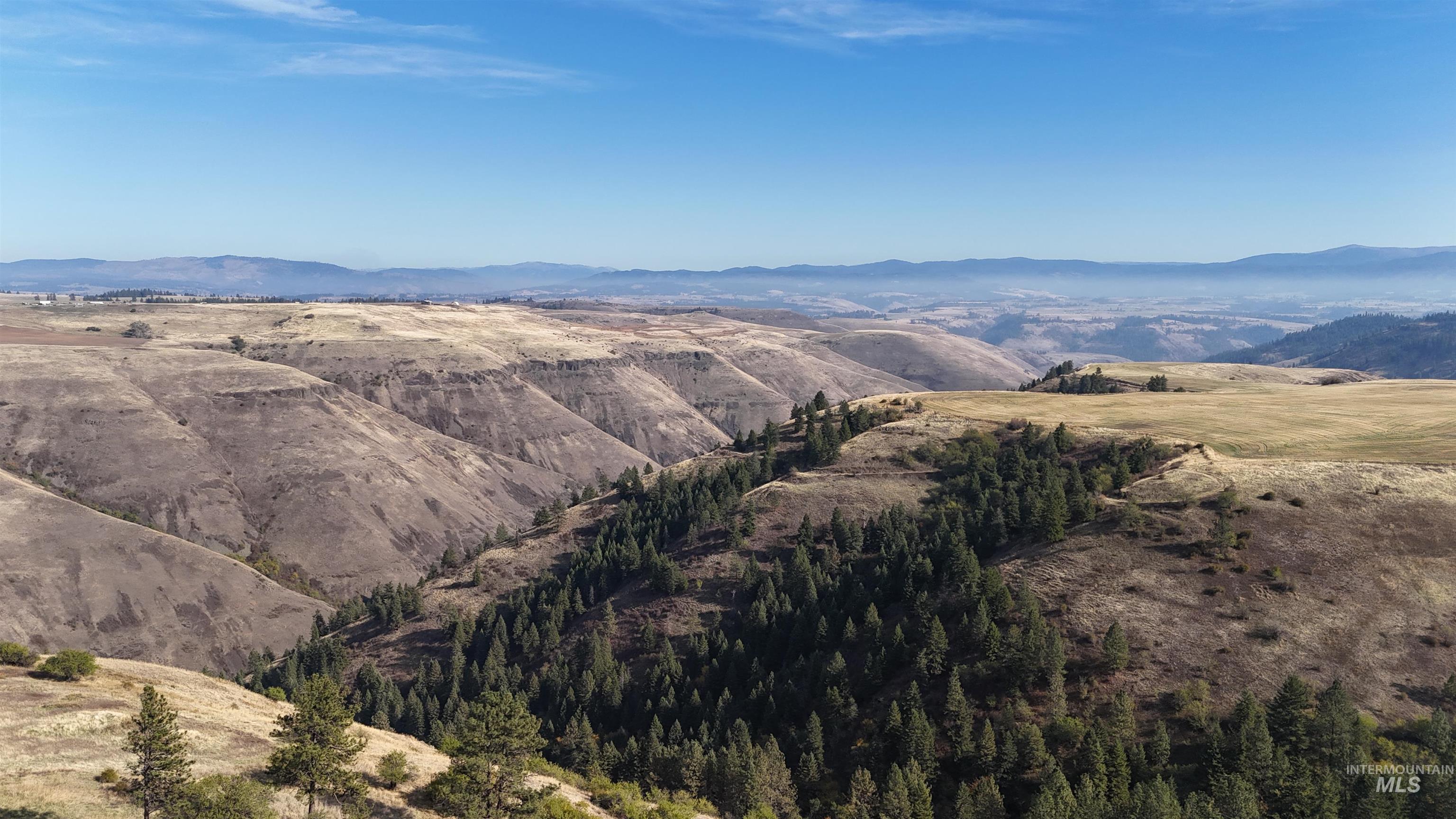 105 Scotlyn Rnch Road Kamiah, ID 83536 - Photo 5 of 27