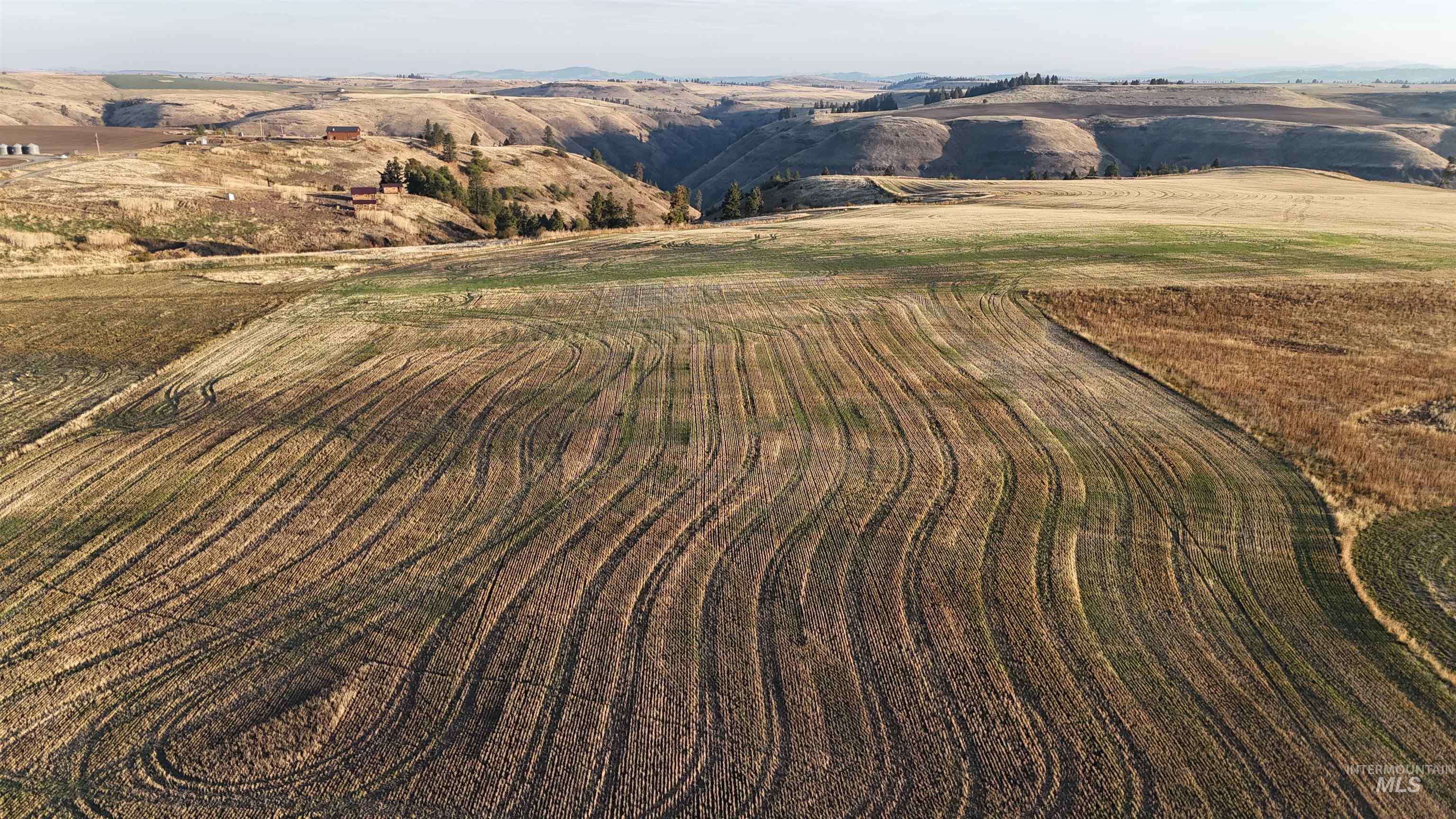 105 Scotlyn Rnch Road Kamiah, ID 83536 - Photo 6 of 27