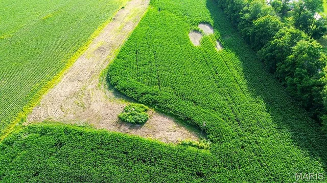 $199,000 | 0 South Street, Nebo, IL 62355