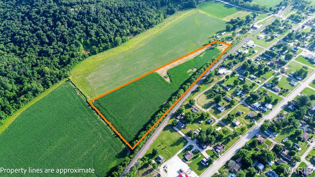 0 South Street Nebo, IL 62355 - Photo 3 of 15