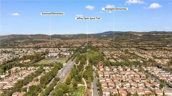 a park with tall trees