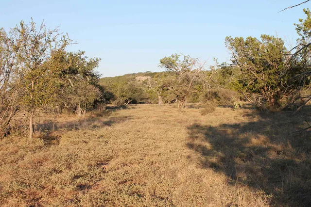 a view of mountain covered with trees