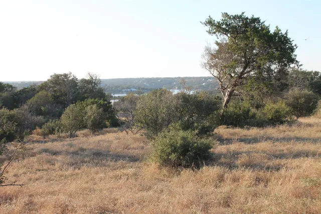 a view of a dry yard