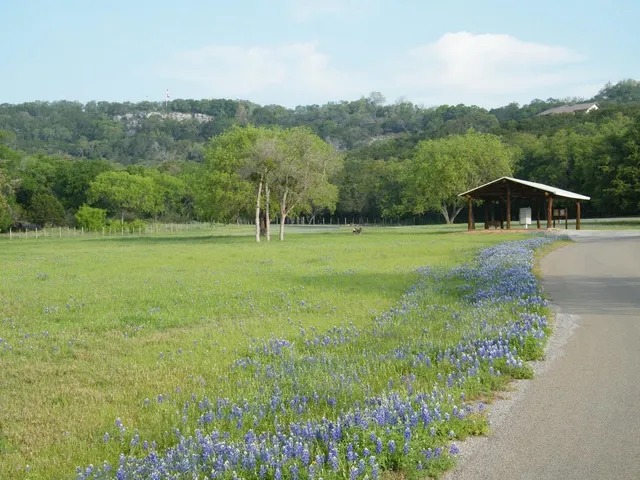 a view of street with trees