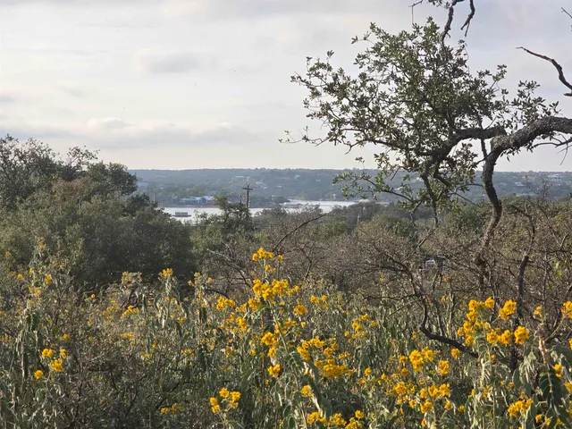 a view of a lake in between two of the trees