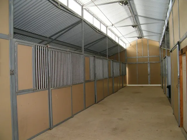 a front view of a house with a yard covered with trees
