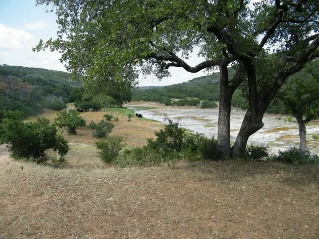 a view of a yard with wooden fence