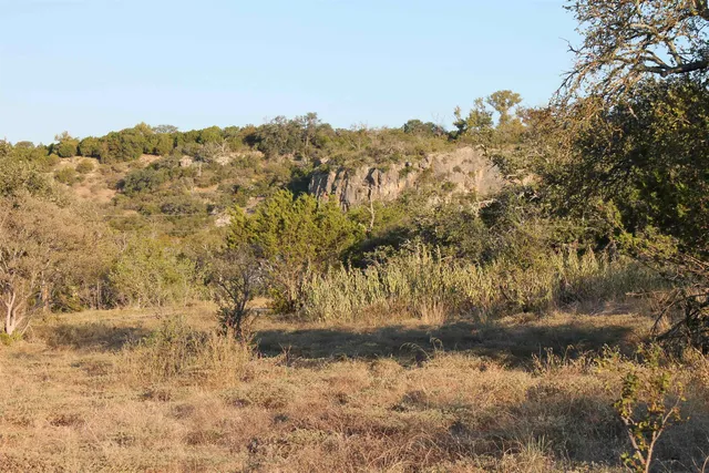 a view of a dry yard with trees