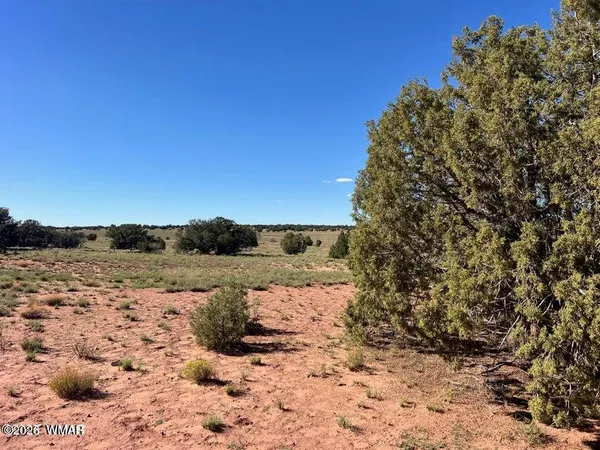 $25,000 | 4 N9027, Concho, AZ 85924