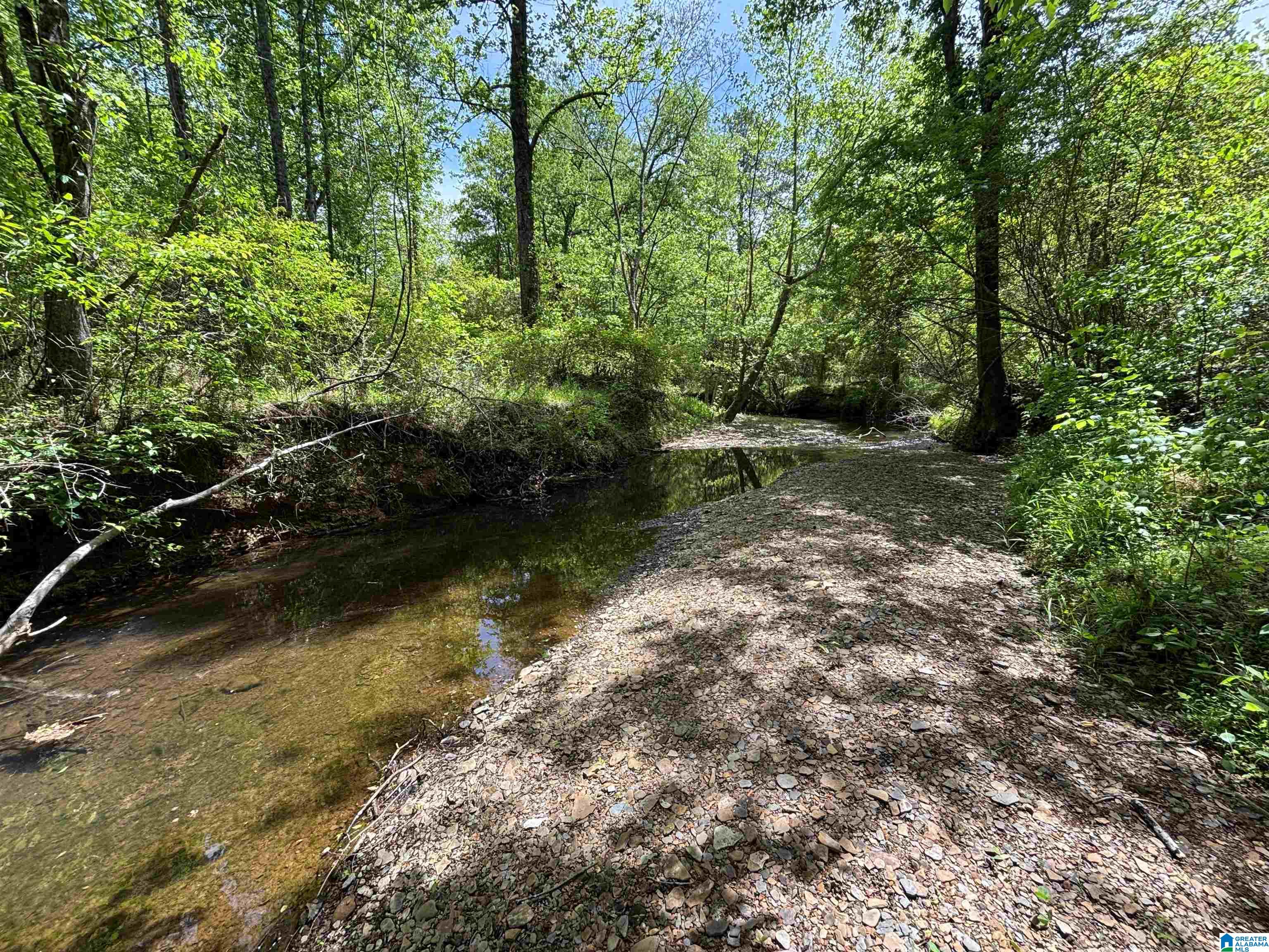498 Blackwood Road, Unit 14 9 ACRES Parrish, AL 35580 - Photo 19 of 50