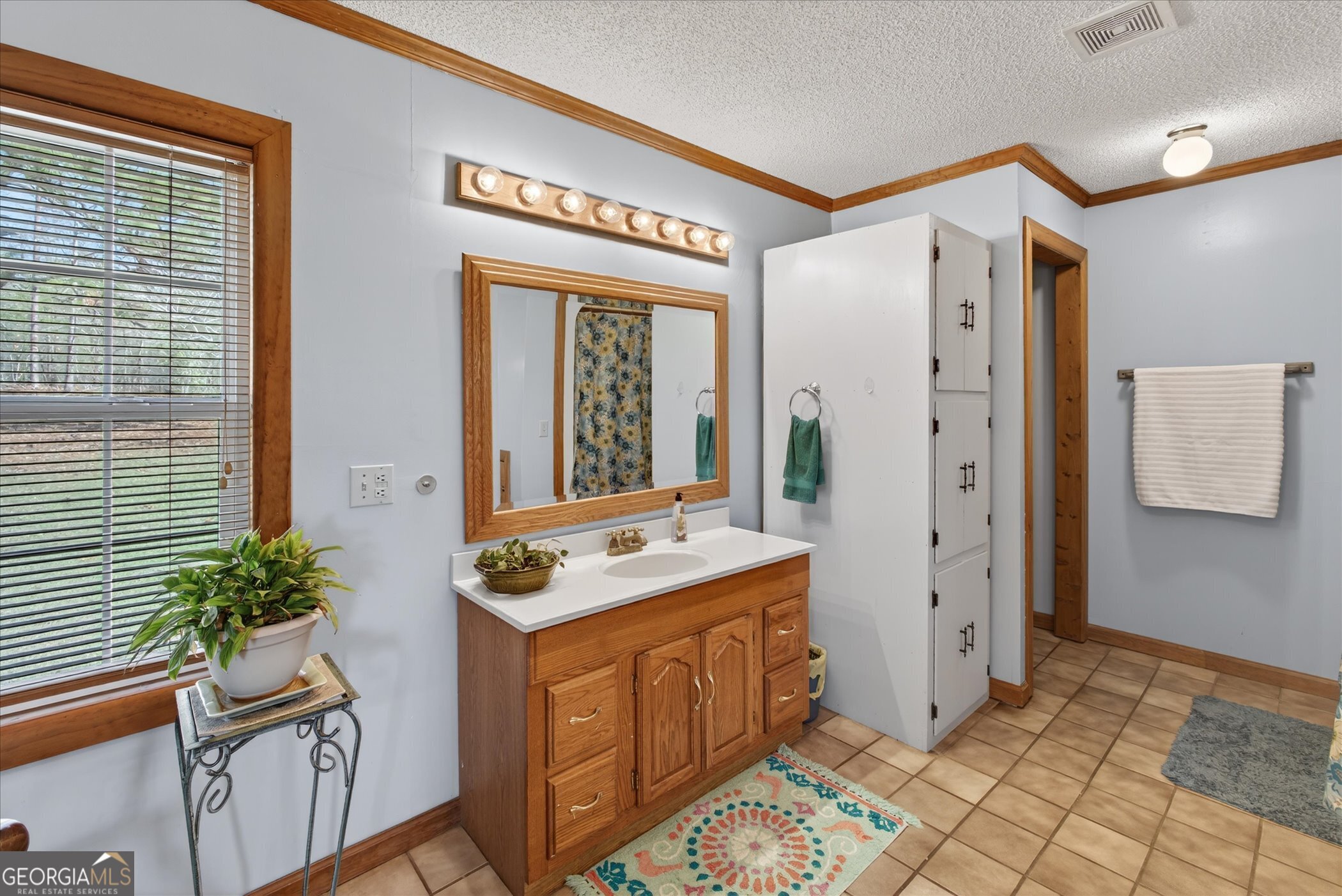 395 Winchester Road Sylvania, GA 30467 - Photo 31 of 60 a bathroom with a sink a mirror and a shower