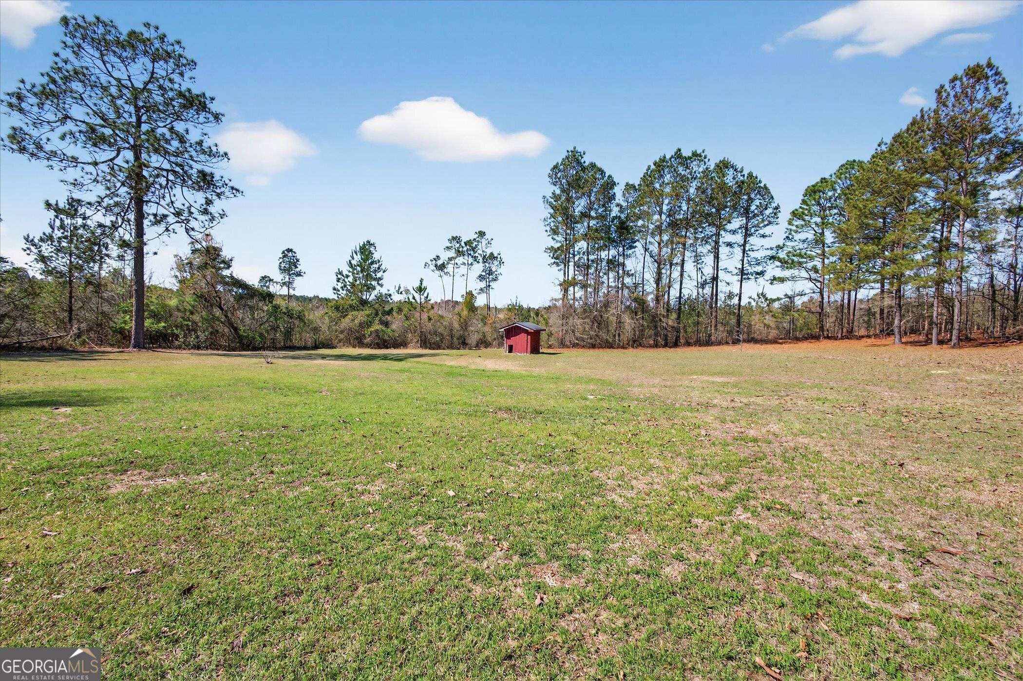 395 Winchester Road Sylvania, GA 30467 - Photo 42 of 60 a view of pool and trees in the background