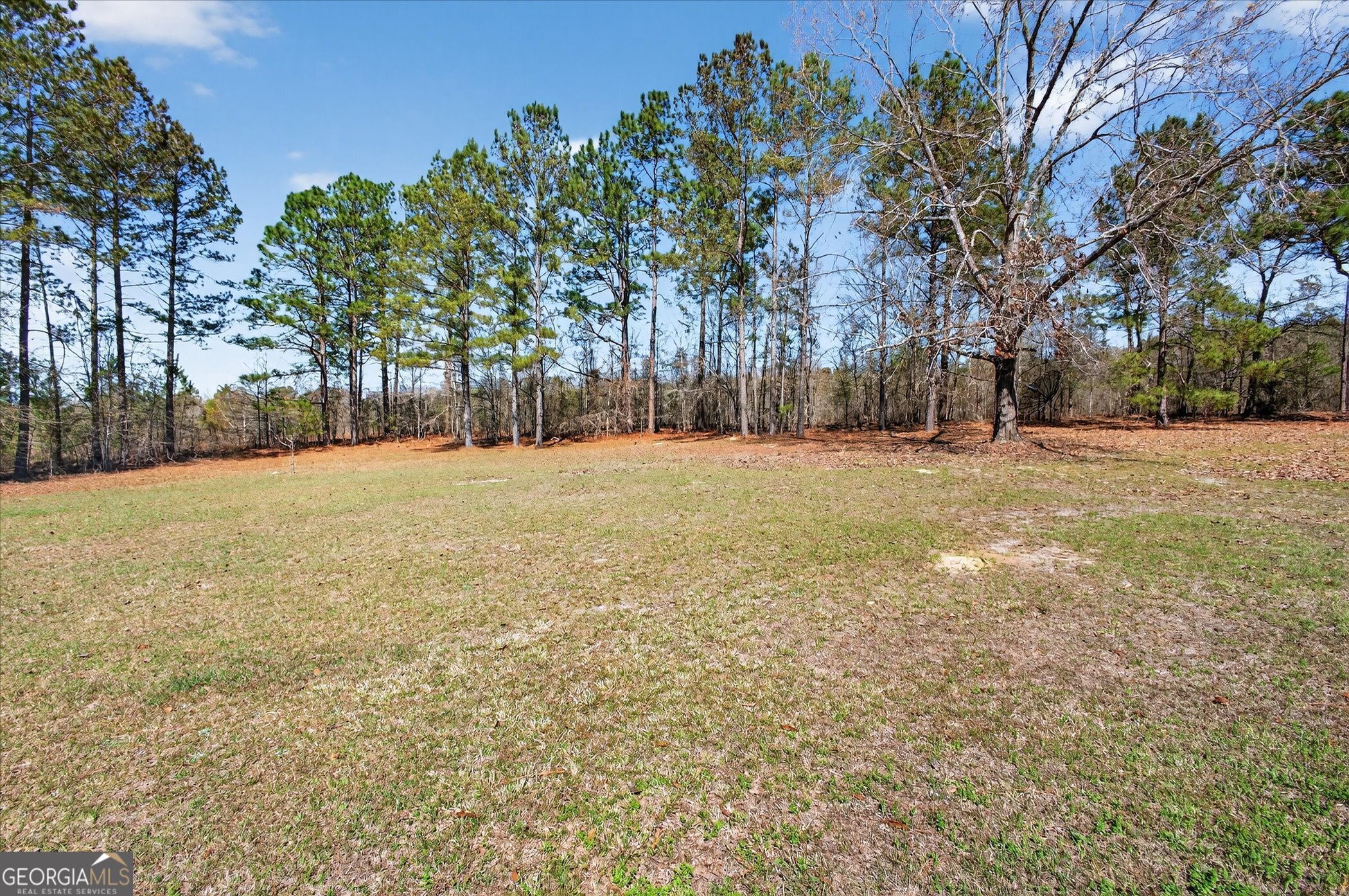 395 Winchester Road Sylvania, GA 30467 - Photo 44 of 60