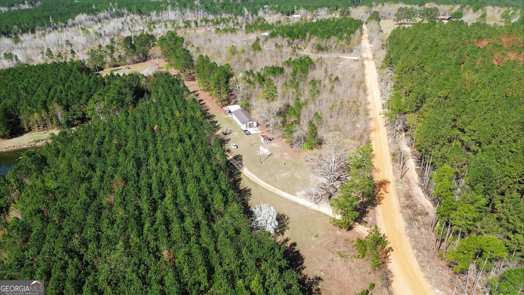 395 Winchester Road Sylvania, GA 30467 - Photo 51 of 60 a view of a yard with plants