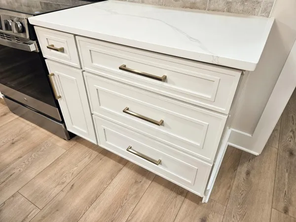 a view of a backyard with plants and large tree