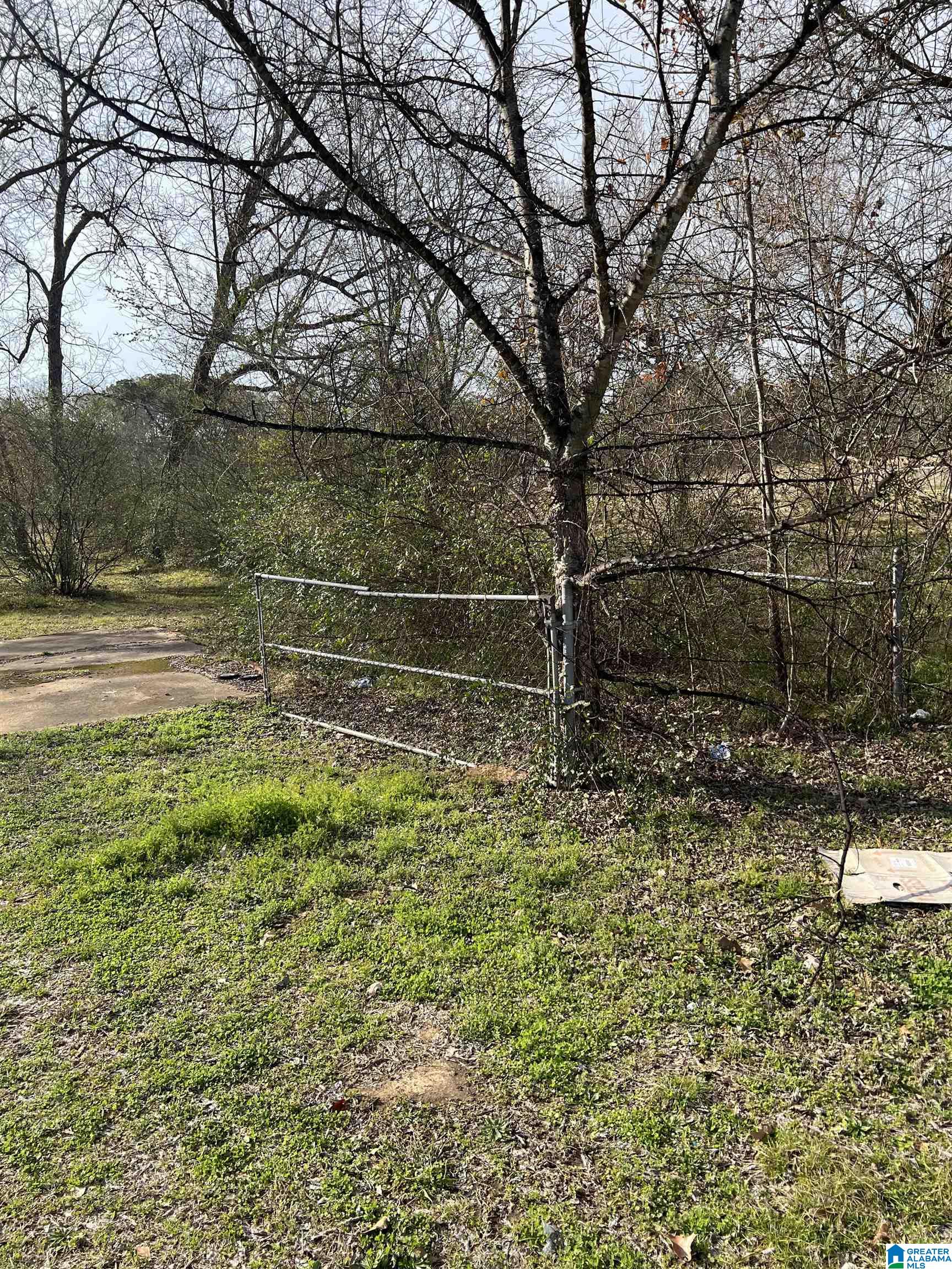 483 Flint Hill Road Bessemer, AL 35022 - Photo 5 of 18