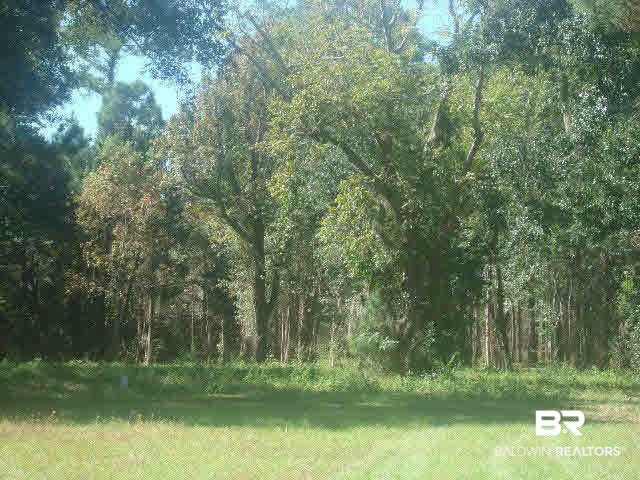 0 Plash Road Gulf Shores, AL 36542 - Photo 6 of 7