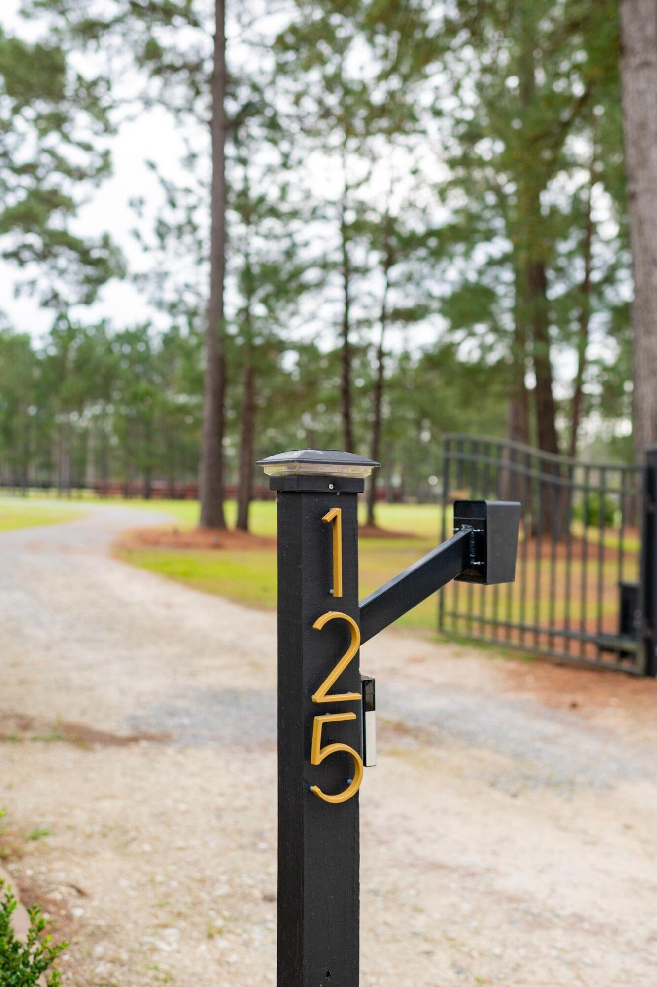 125 Chancing Bye Lane Huger, SC 29450 - Photo 4 of 39 beyc6a085252adf1c