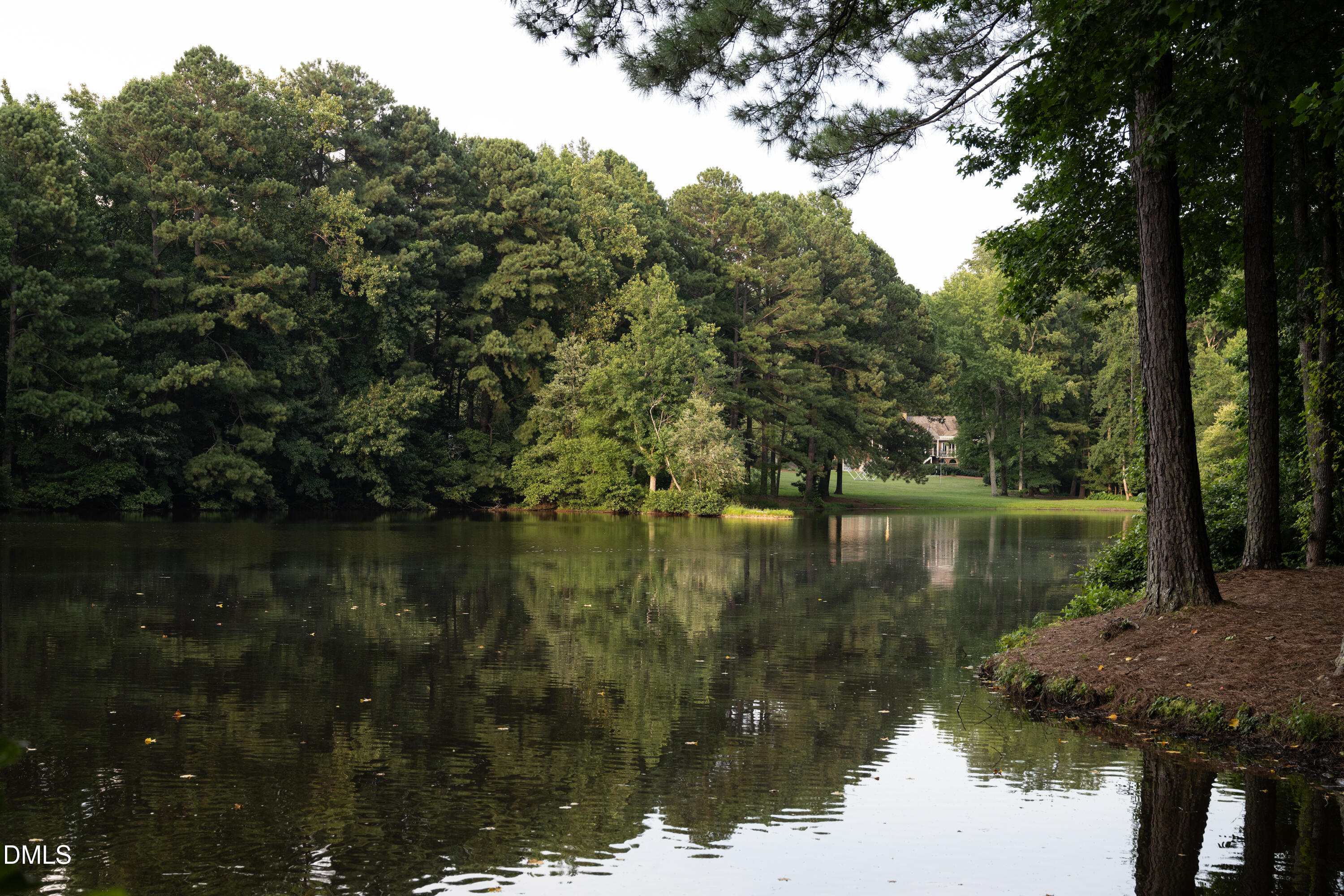 9913 Longford Drive Raleigh, NC 27615 - Photo 79 of 93 17_STONEBRIDGE_MistyLake