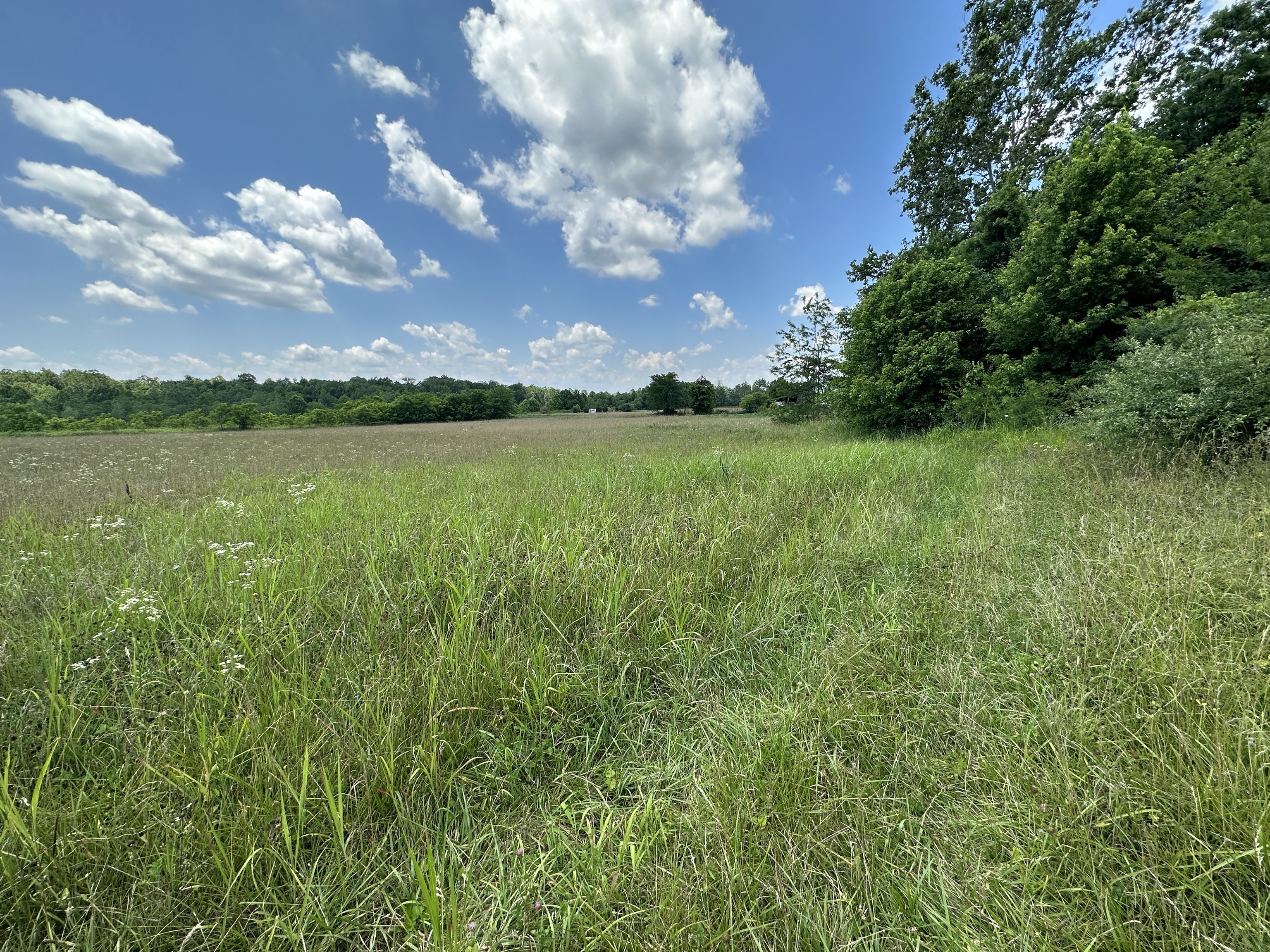 15188 Ott Road Laurel, IN 47024 - Photo 3 of 17