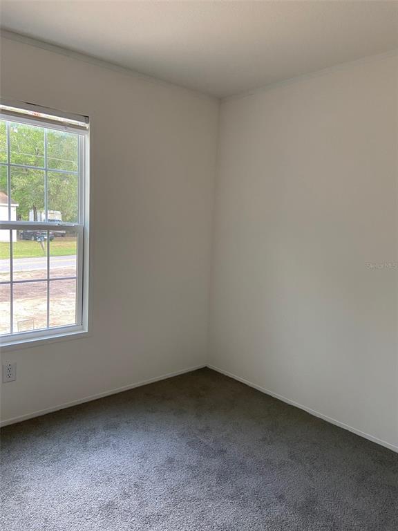 11876 Key Lime Drive New Port Richey, FL 34654 - Photo 24 of 44