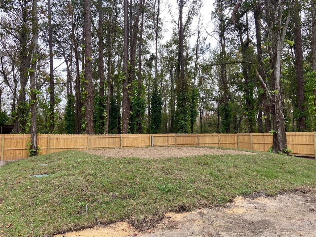 11876 Key Lime Drive New Port Richey, FL 34654 - Photo 42 of 44