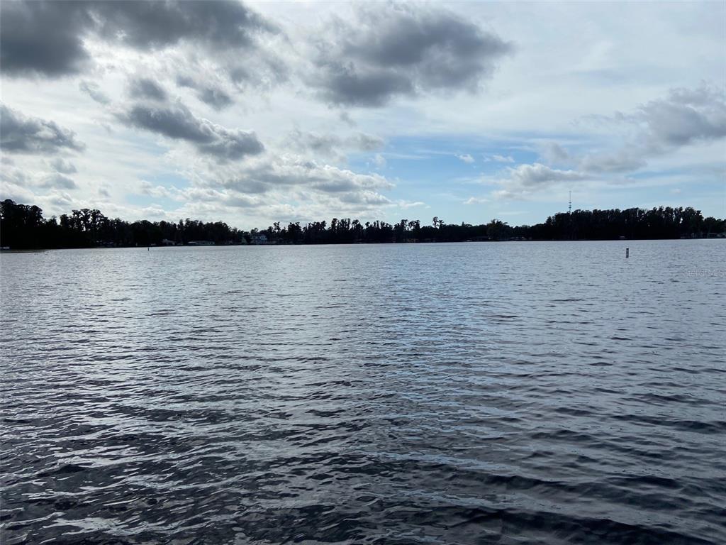 11876 Key Lime Drive New Port Richey, FL 34654 - Photo 6 of 44