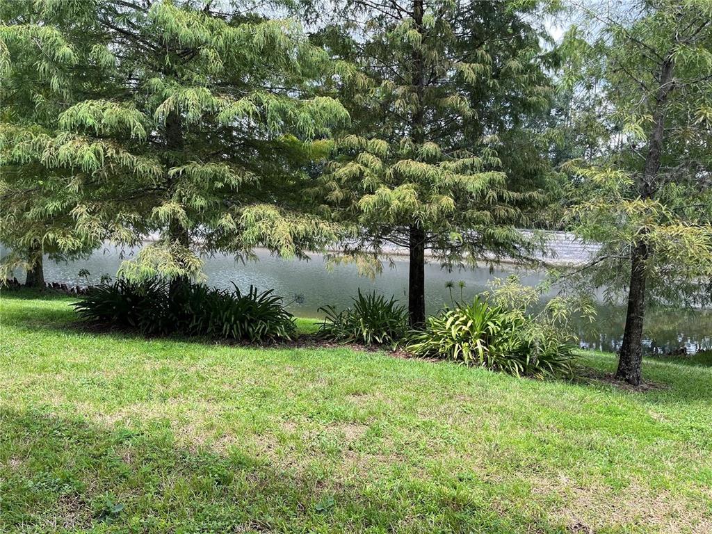 5552 Rutherford Place Oviedo, FL 32765 - Photo 19 of 20 a view of a garden