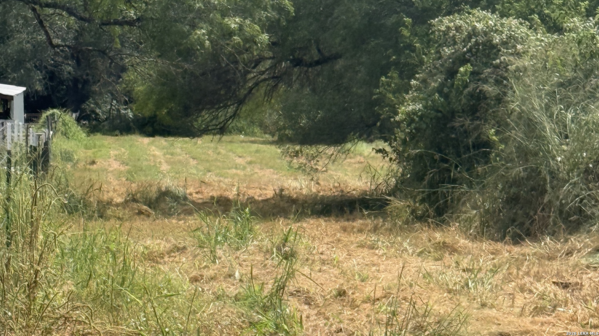 810 Shenandoah Street Poth, TX 78147 - Photo 4 of 9