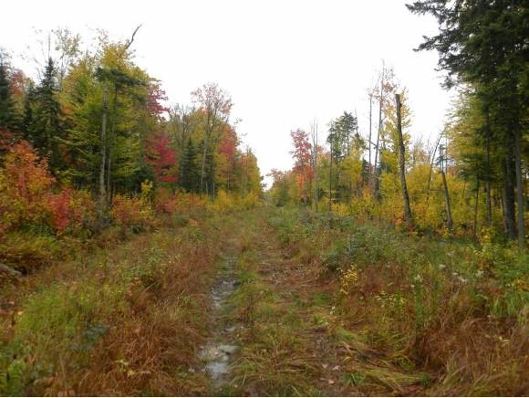 Reservoir Road Newport, VT 05855 - Photo 1 of 1