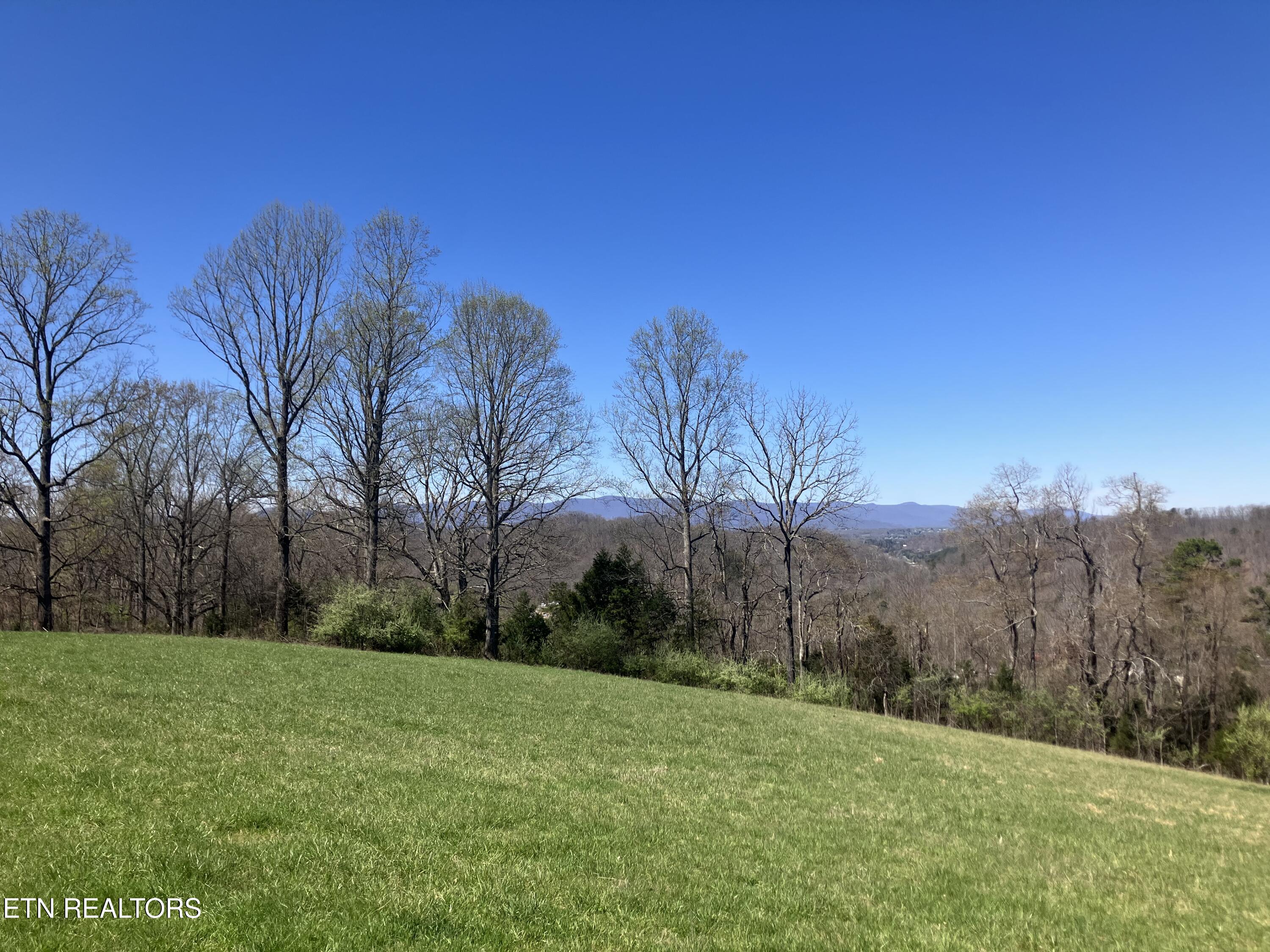 Elkins Valley Road Heiskell, TN 37754 - Photo 1 of 26 IMG_5875