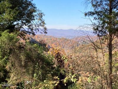 Elkins Valley Road Heiskell, TN 37754 - Photo 11 of 26 thumbnail (8)