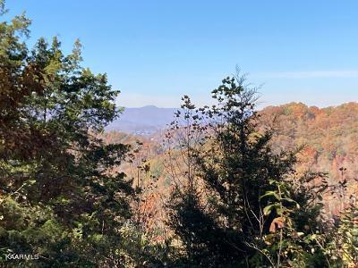 Elkins Valley Road Heiskell, TN 37754 - Photo 12 of 26 thumbnail (7)