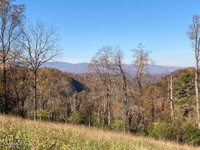 Elkins Valley Road Heiskell, TN 37754 - Photo 13 of 26 thumbnail (12)