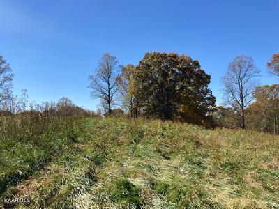 Elkins Valley Road Heiskell, TN 37754 - Photo 14 of 26 thumbnail (2)