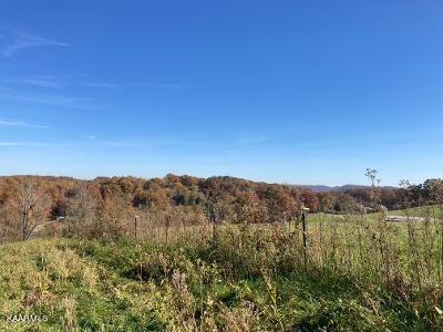 Elkins Valley Road Heiskell, TN 37754 - Photo 15 of 26 thumbnail (3)