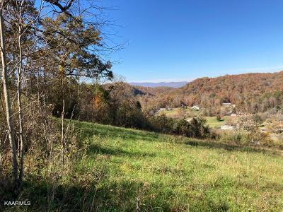 Elkins Valley Road Heiskell, TN 37754 - Photo 16 of 26 thumbnail (4)
