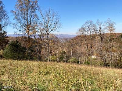 Elkins Valley Road Heiskell, TN 37754 - Photo 18 of 26 thumbnail (9)