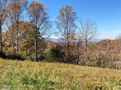 Elkins Valley Road Heiskell, TN 37754 - Photo 19 of 26 thumbnail (10)