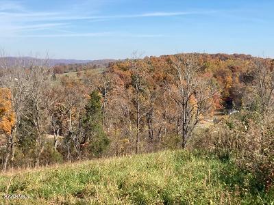 Elkins Valley Road Heiskell, TN 37754 - Photo 20 of 26 thumbnail (11)