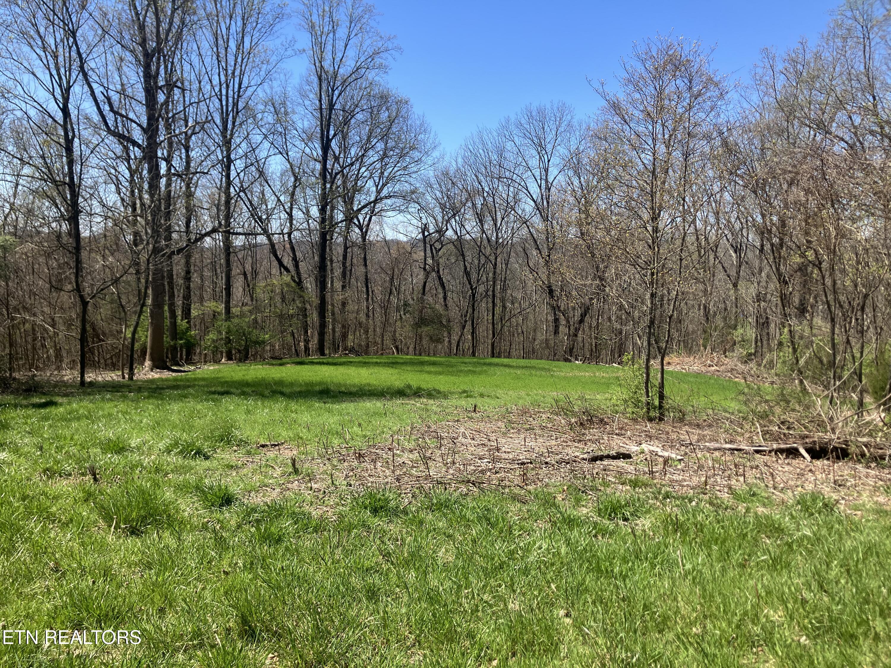 Elkins Valley Road Heiskell, TN 37754 - Photo 2 of 26 IMG_5876