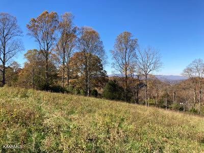 Elkins Valley Road Heiskell, TN 37754 - Photo 22 of 26 thumbnail (14)