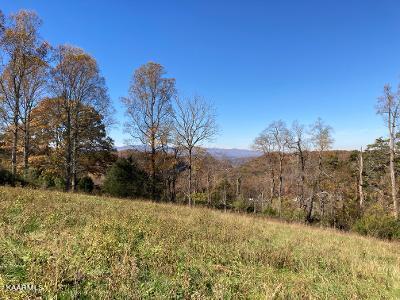 Elkins Valley Road Heiskell, TN 37754 - Photo 23 of 26 thumbnail (15)