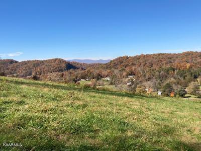 Elkins Valley Road Heiskell, TN 37754 - Photo 24 of 26 thumbnail (16)