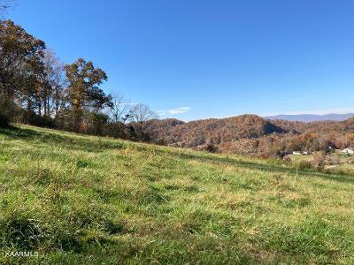 Elkins Valley Road Heiskell, TN 37754 - Photo 25 of 26 thumbnail (17)