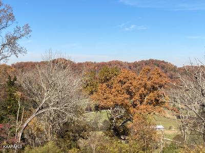 Elkins Valley Road Heiskell, TN 37754 - Photo 26 of 26 thumbnail (19)