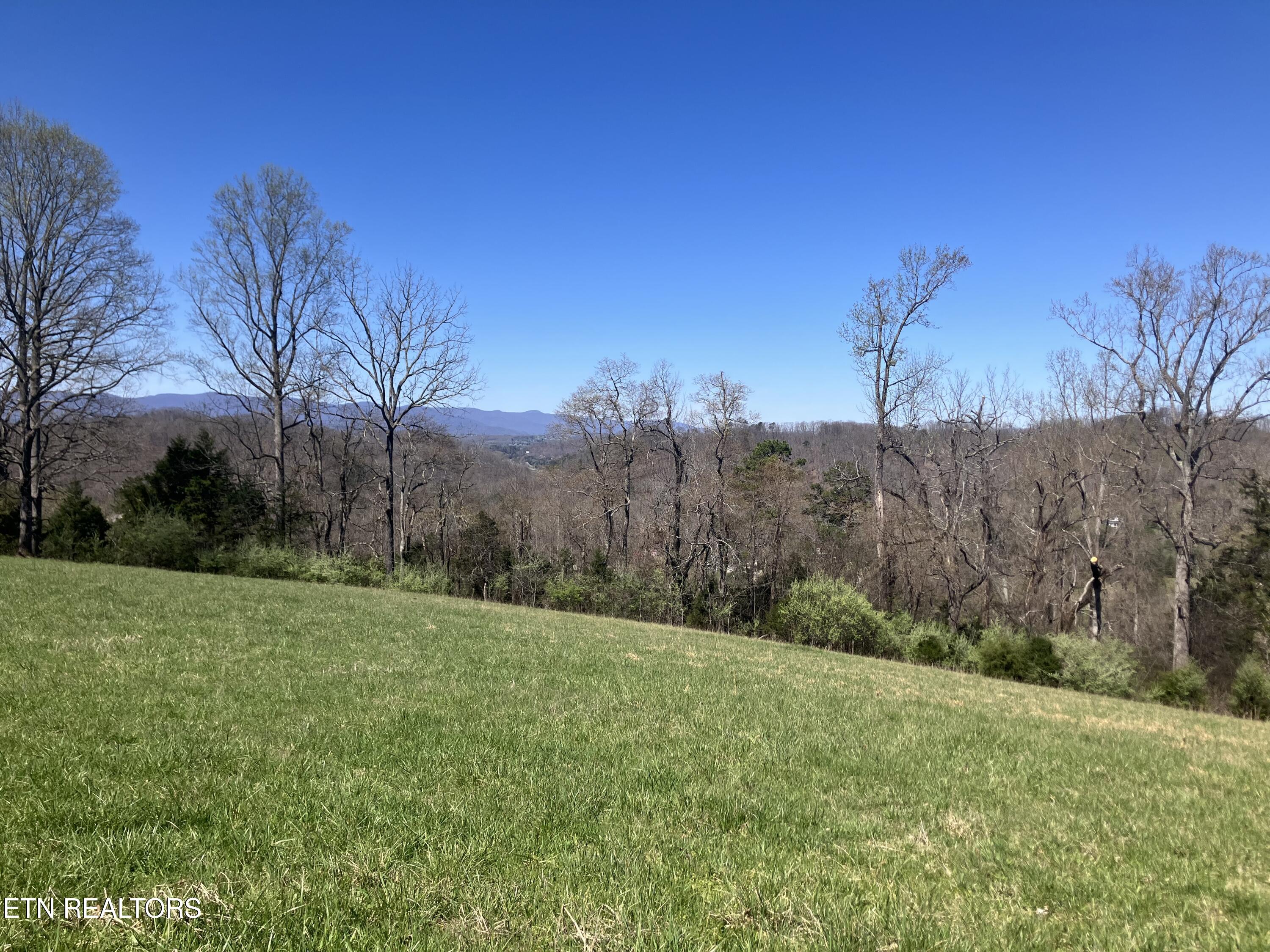 Elkins Valley Road Heiskell, TN 37754 - Photo 3 of 26 IMG_5873