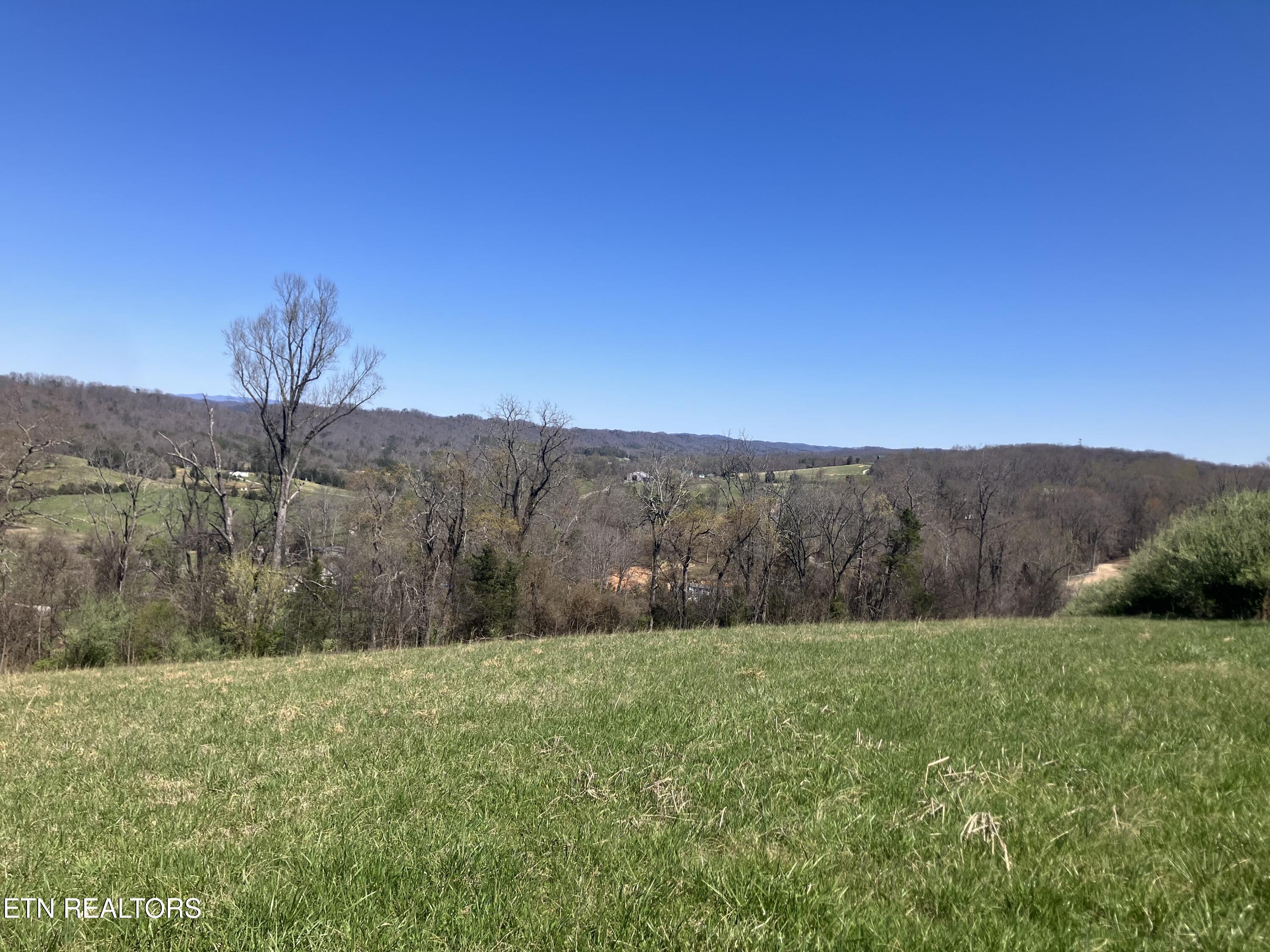 Elkins Valley Road Heiskell, TN 37754 - Photo 4 of 26 IMG_5872